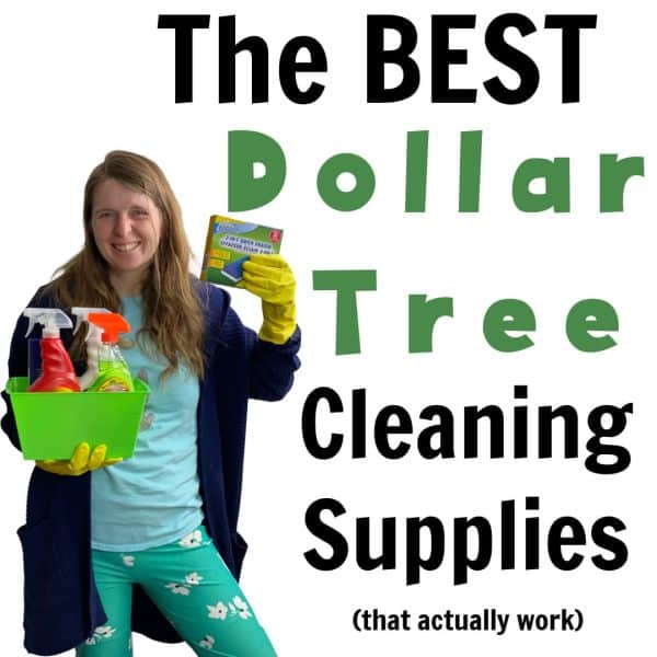 25+ Must Buy Dollar Tree Cleaning Supplies - Clarks Condensed