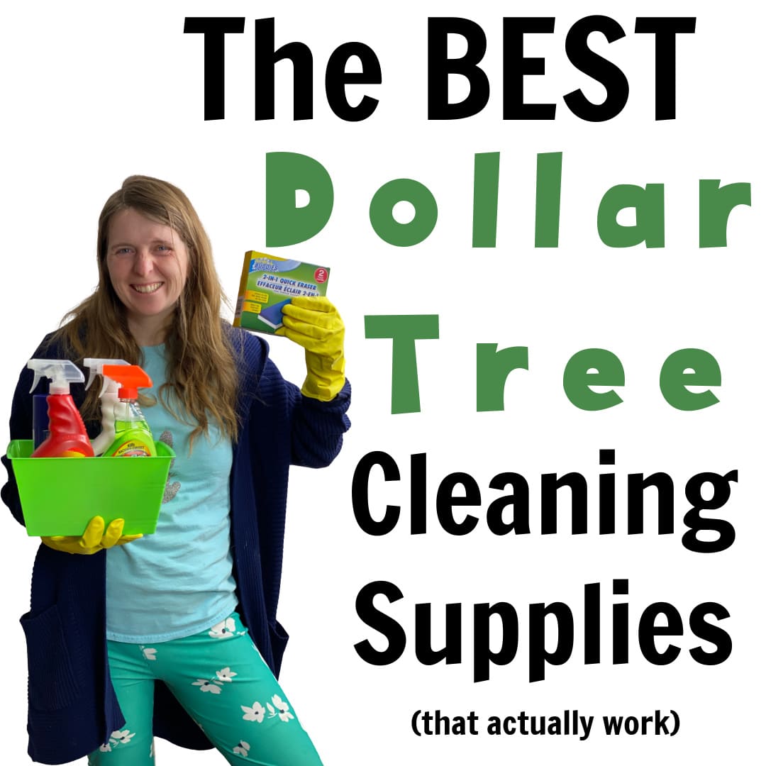 dollar tree cleaning products