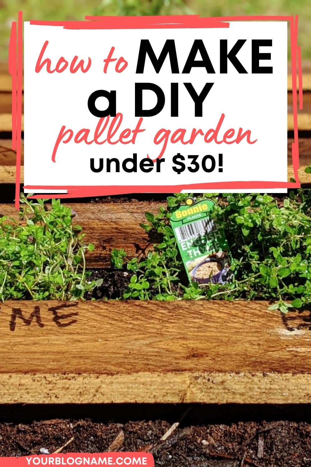 pallet garden