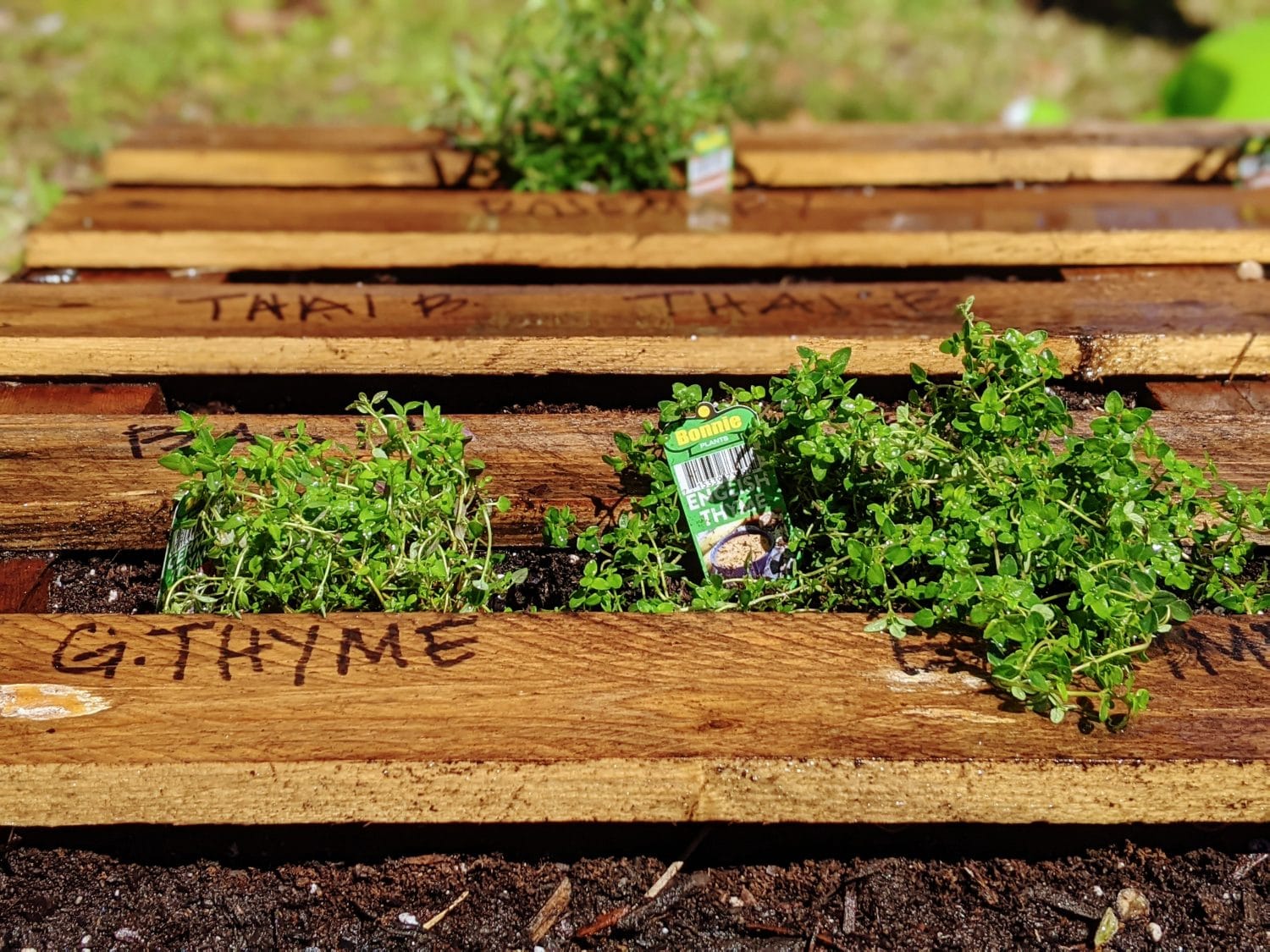 pallet garden