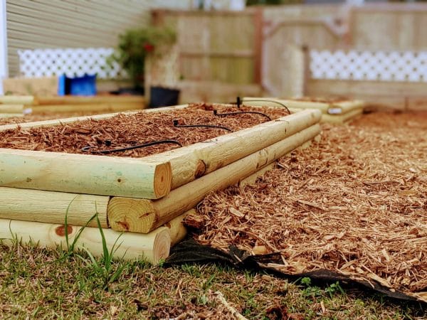 For this garden, because there are multiple beds in a row and it takes up a large portion of the lawn, we just laid down garden fabric to keep the grass from becoming a nuisance.