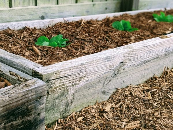 close up view of raised garden bed