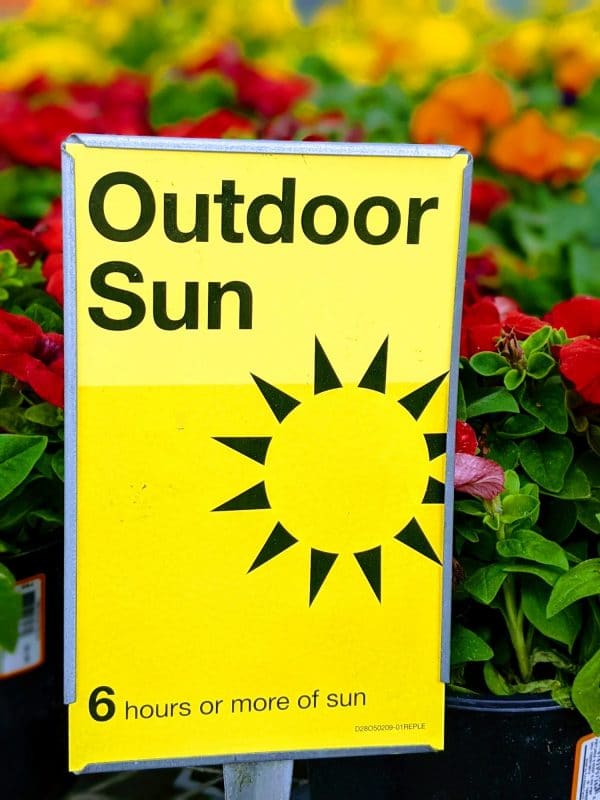 These signs at the nursery, or on the plant label, will guide you in deciding what you can plant.