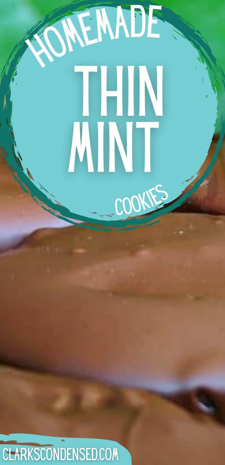 homemade thin mints