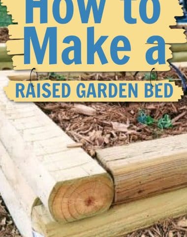 raised garden bed