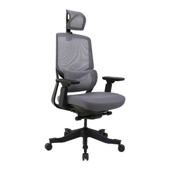 flexispot soutien ergonomic office chair