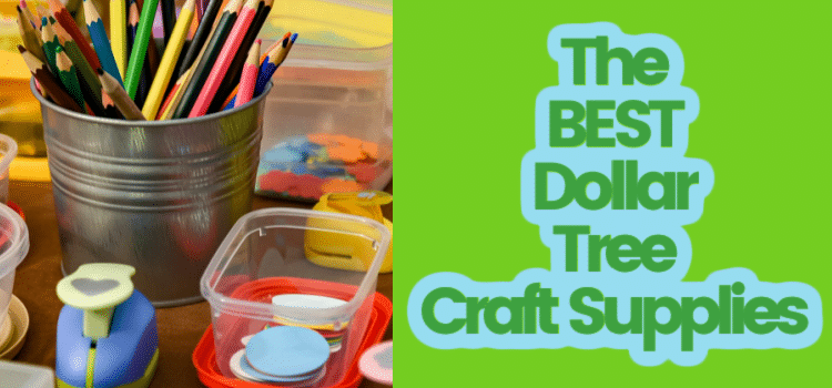 dollar tree craft supplies