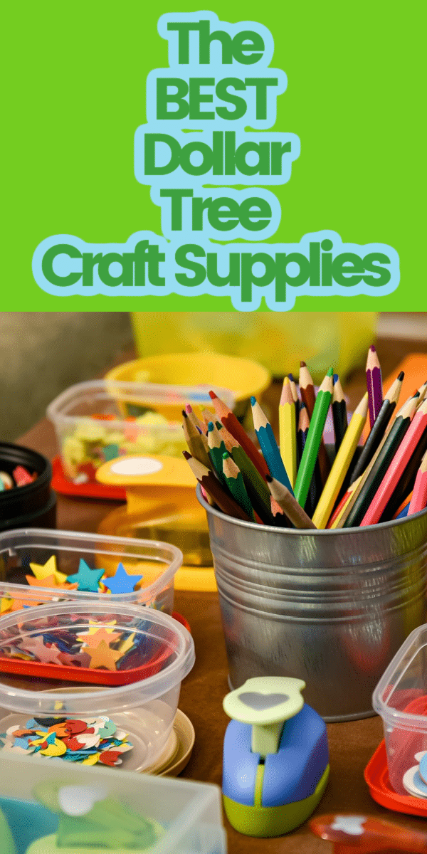 Dollar Tree ART SUPPLIES for BEGINNERS! 