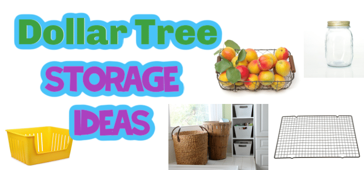 20+ Best Dollar Tree Storage Ideas
