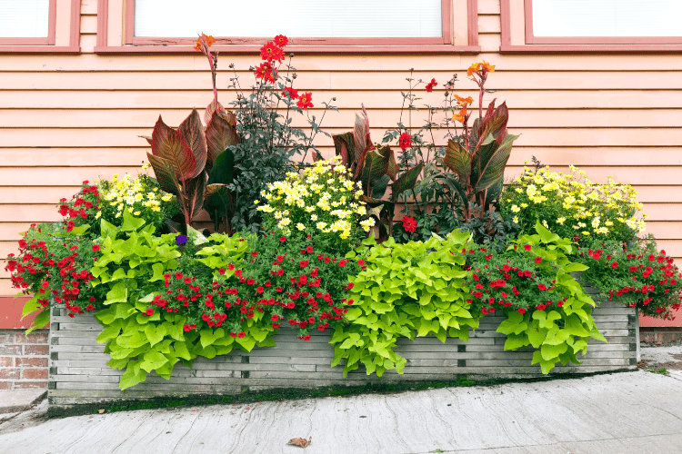 planter with flowers 