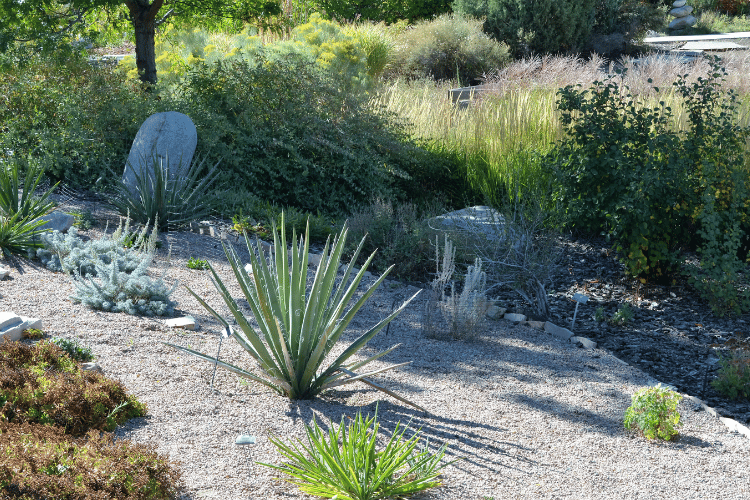 xeriscaping