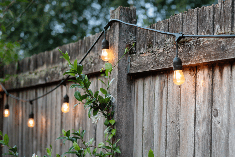 backyard lighting