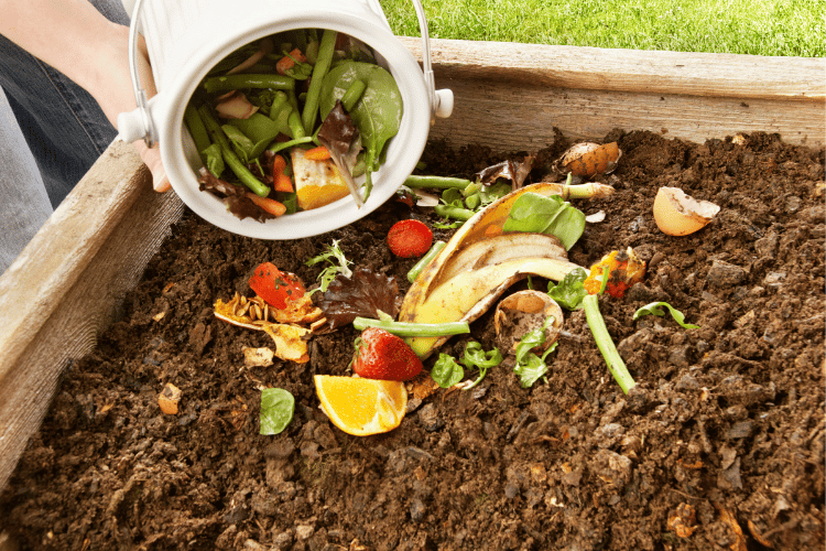 composting