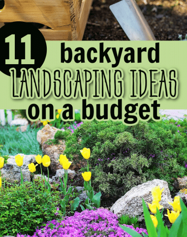 backyard landscaping ideas