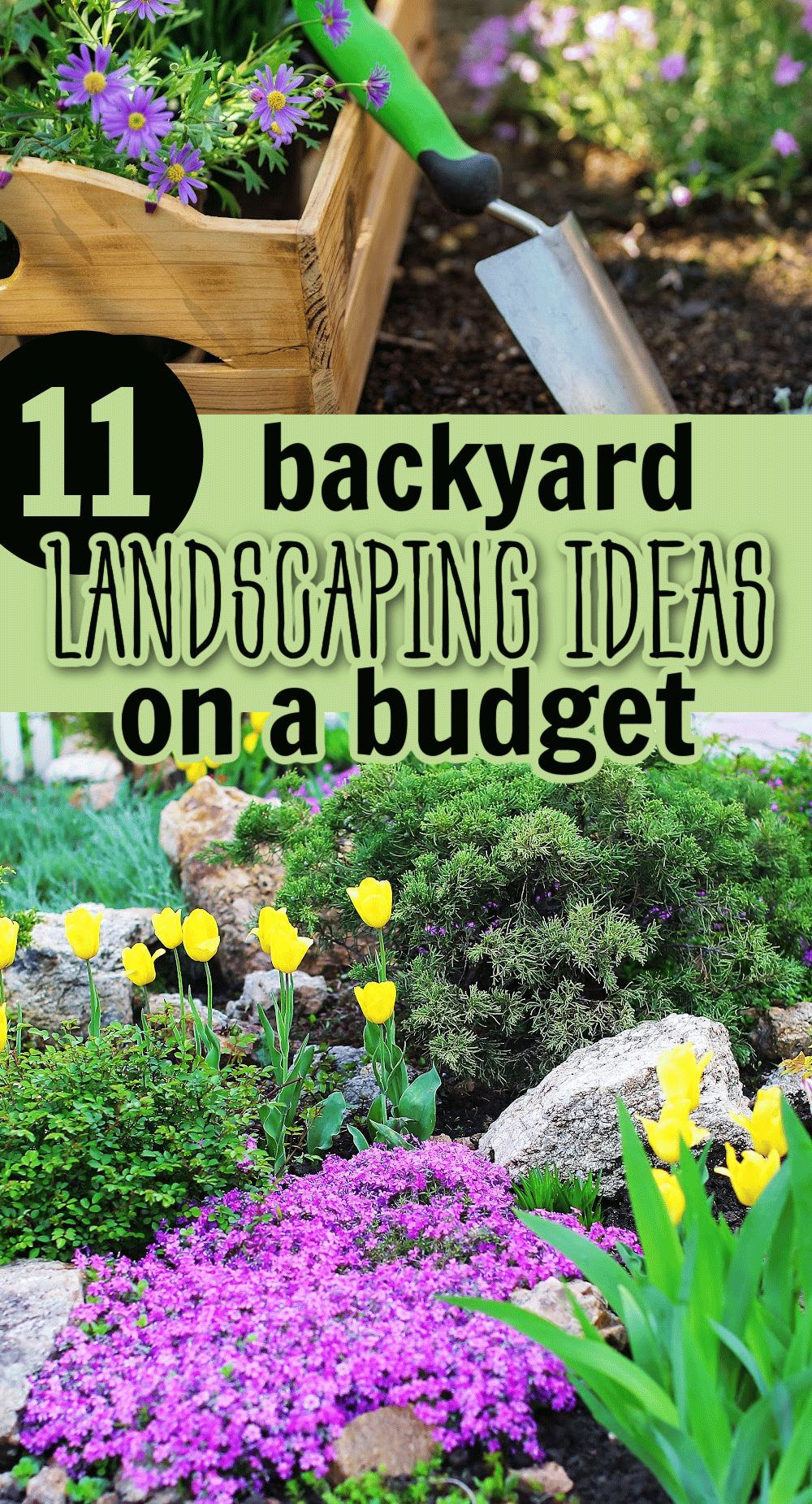 Backyard landscaping ideas on a budget