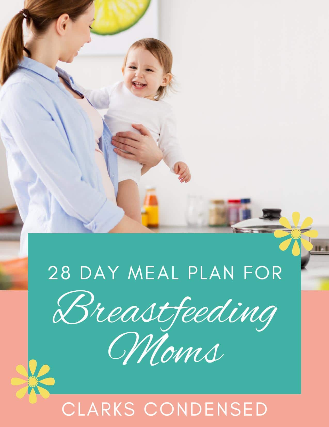 28 Day Breastfeeding Meal Plan First Week Free! Clarks Condensed